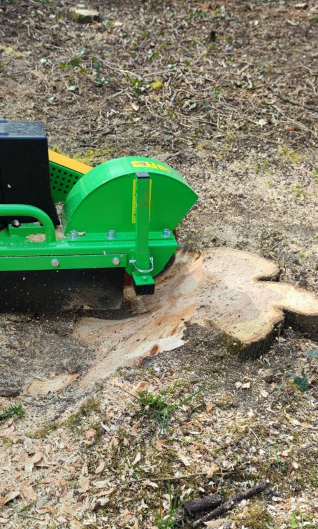 Grüne Baumwurzelfräse bearbeitet einen Baumstumpf auf einem Waldboden.